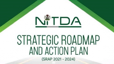 X-Raying NITDA Strategic Roadmap and Action Plan 2021-2024