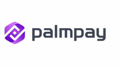 PalmPay Hits 10 Million User Milestone in Nigeria