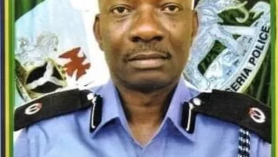 Inspector-General of Police Kayode Egbetokun