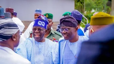 President Bola Tinubu, the workhorse in the Villa