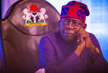 Tinubu’s Food Security Masterplan