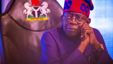 Tinubu’s Food Security Masterplan