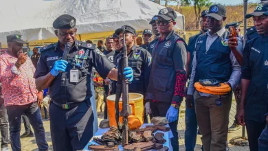 NPF Nabs 67 Suspects
